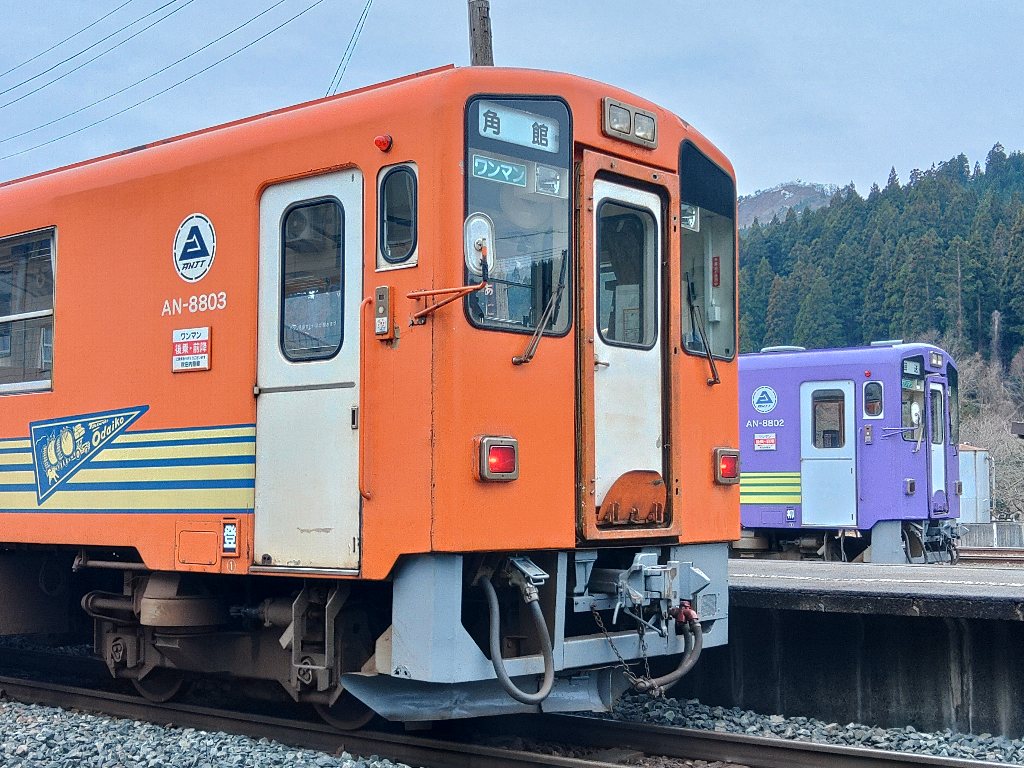 今朝の「8800形車両オーナー（2026年4月分）」の区名札掲出状況 8803