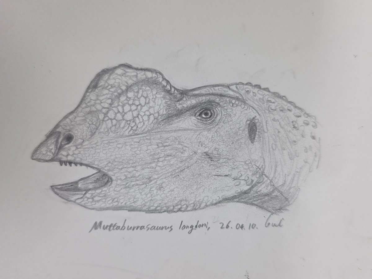 미크로랍토르(Microraptor) tweet media