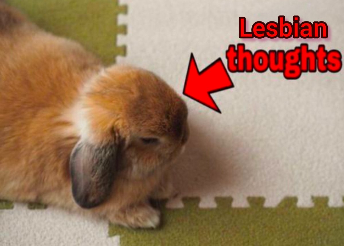 🐇Rose⚢🐇 tweet media