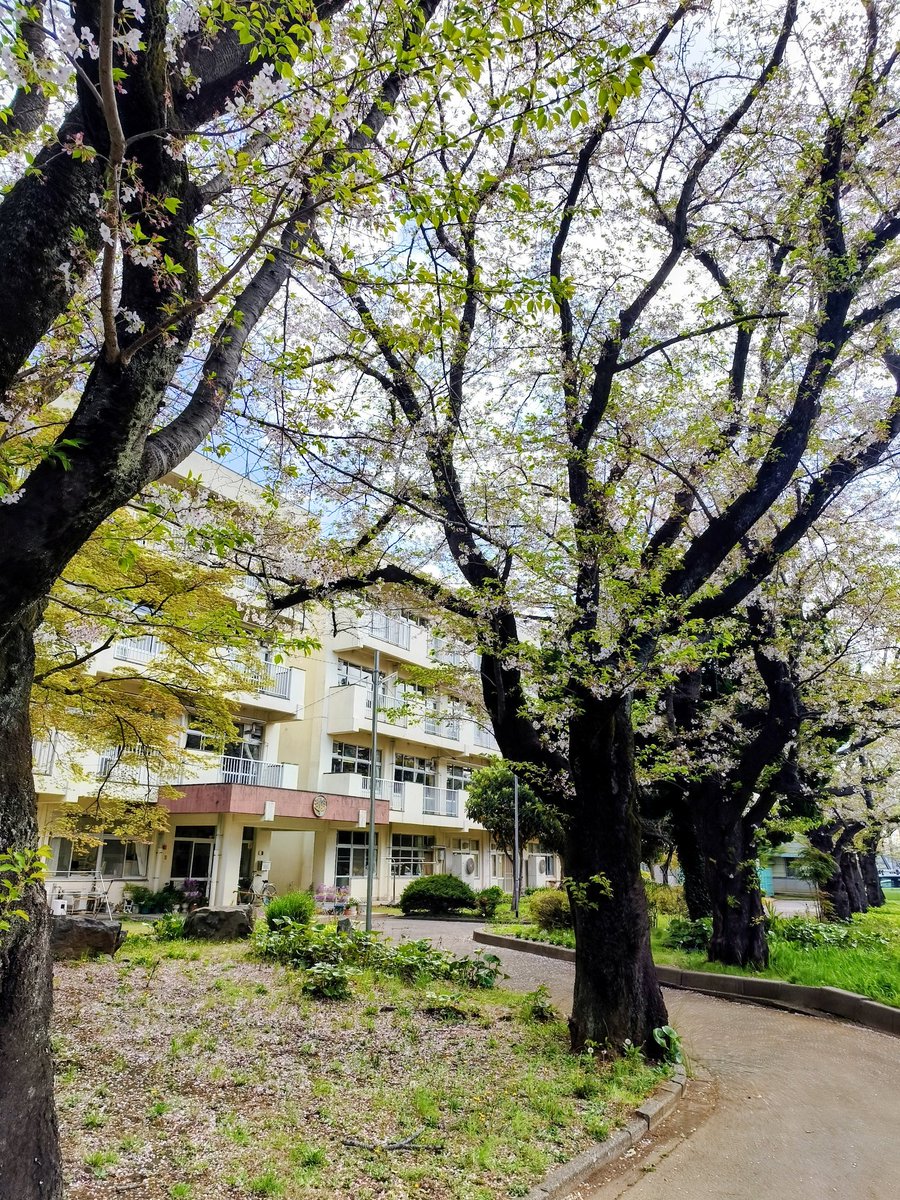 ちの理  我孫子市議会議員【ちのさとし】 tweet media