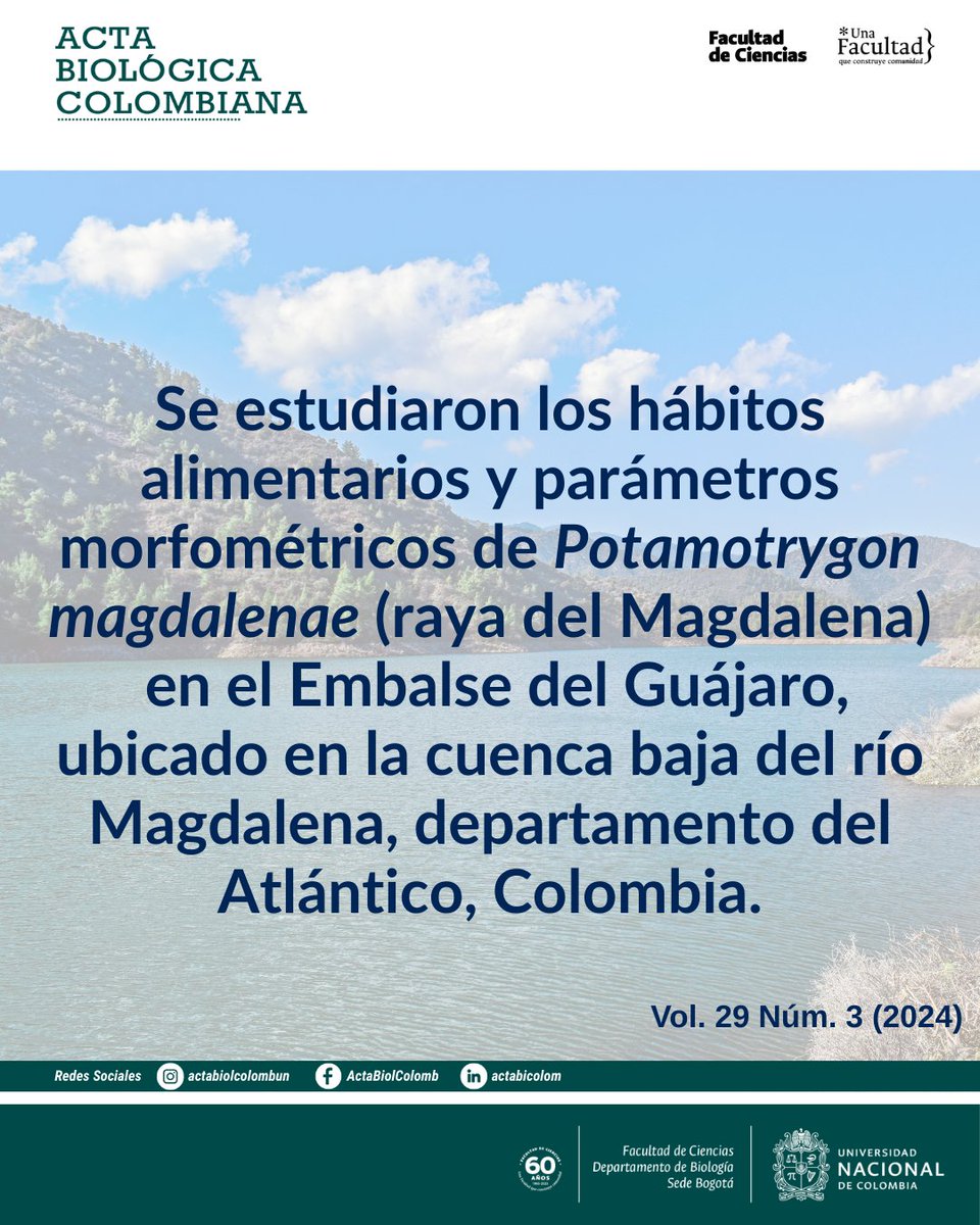 RevistaABC's tweet photo. Los resultados sugieren que la raya del Magdalena presenta hábitos dietarios bentónicos detritívoros, con una dieta especialista basada principalmente en presas de Polymitarcidae y Thiaridae.
https://t.co/wjdRwaji22
#bioecología #elasmobranquios #raya #rayadelmagdalena #UNAL https://t.co/c3oYlAc6Xk