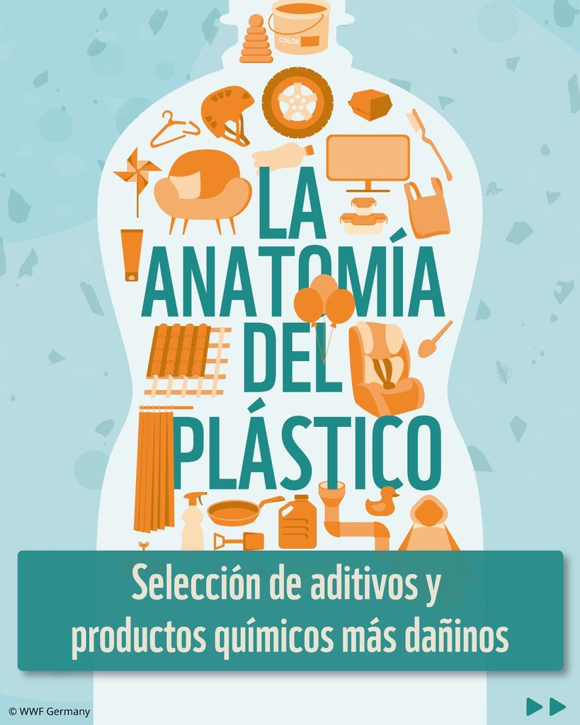 WWF Latinoamérica tweet media