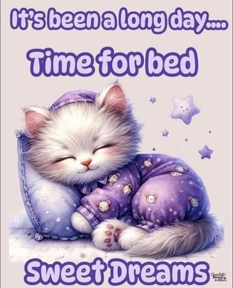 kathrobbo3's tweet image. And that’s my Thursday over it’s been a busy day so let’s get some rest now.x
#goodnightworld 
#sleeptime 
#sotired 
#sweetdreams 
🥱🥱🥱💤💤💤💭🌙💭