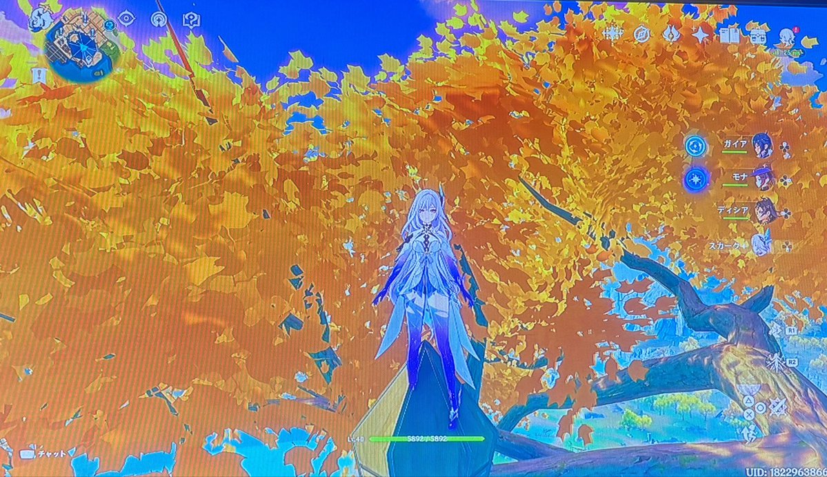 みか⭐️*˚ tweet media