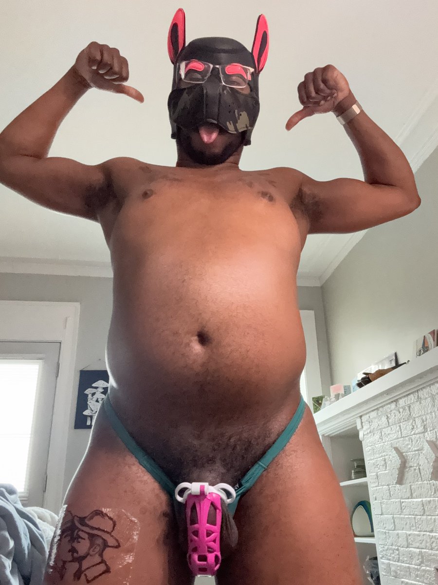 Pup Cosmos 🪐 tweet media