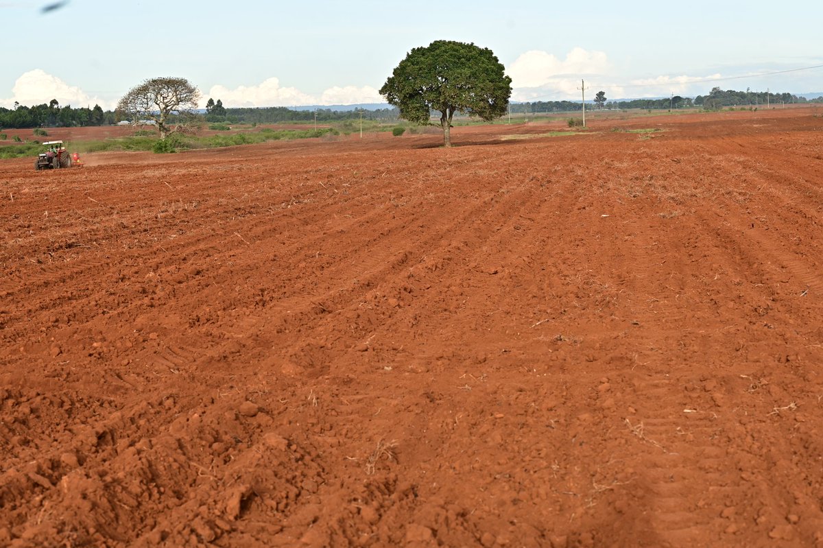 Hon Oscar Sudi tweet media