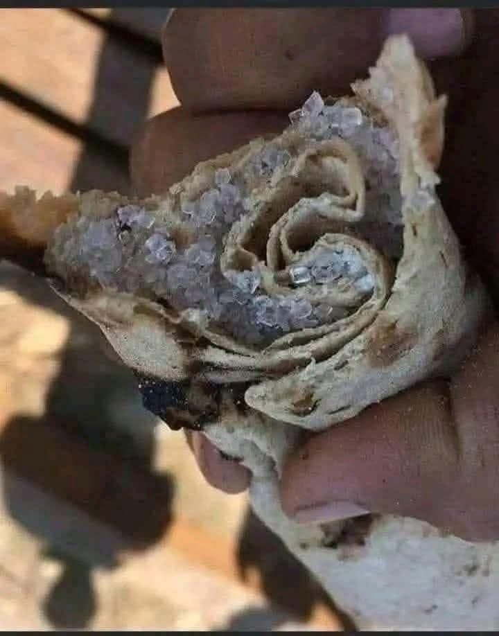 سْ𓍼ོ tweet media