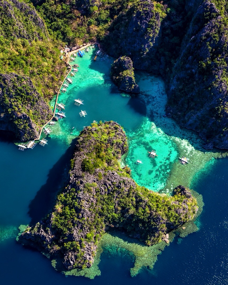 The Tourism Guide tweet media