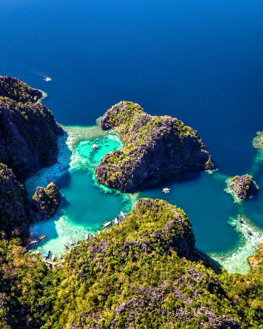 The Tourism Guide tweet media