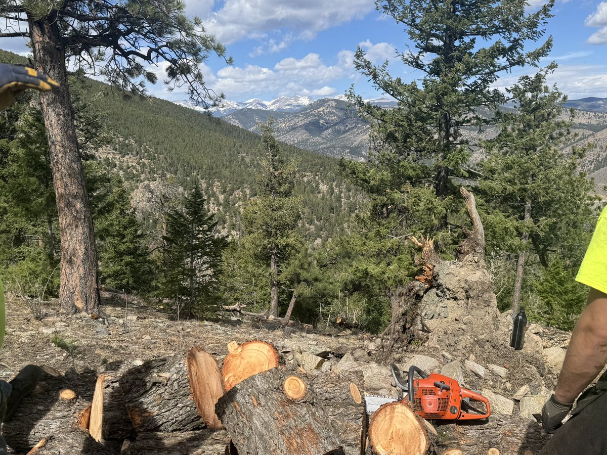 Stevie 🔮 $XRP tweet media