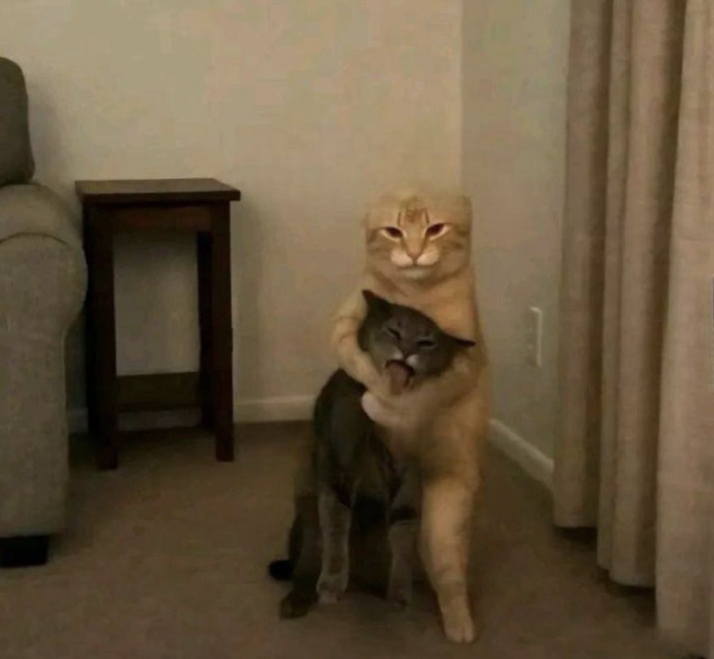 SPONGEBOB 📈📉📊💰 tweet media