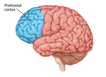 فــارس | FARIS tweet media