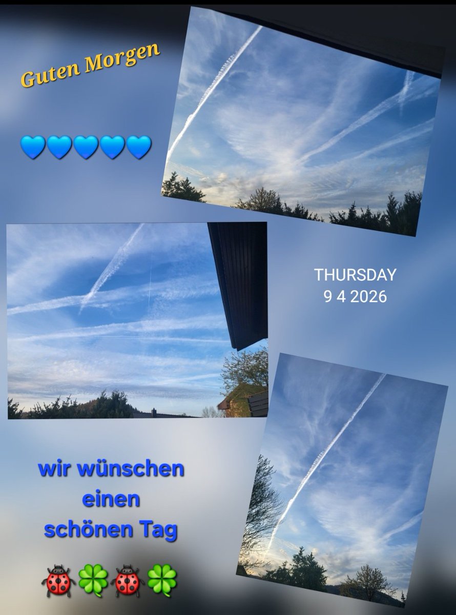 BineZitrone tweet media