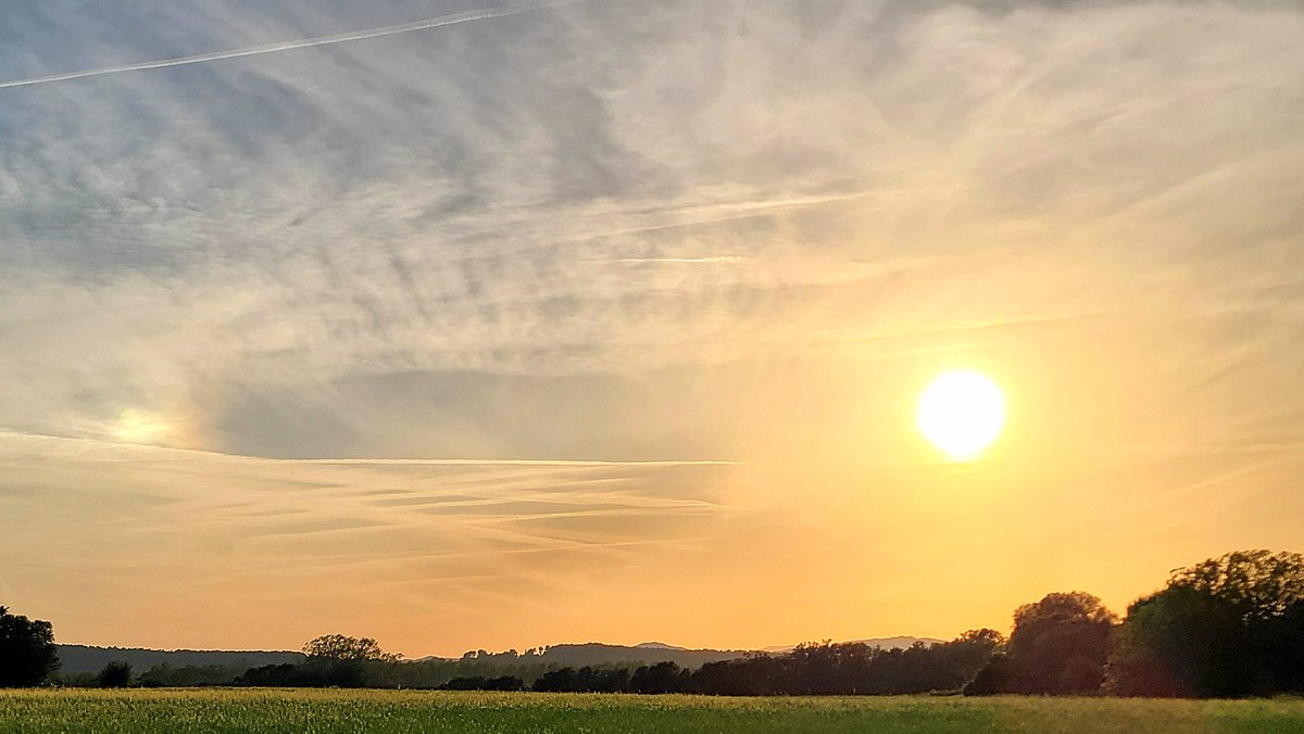 ManelCruz tweet media