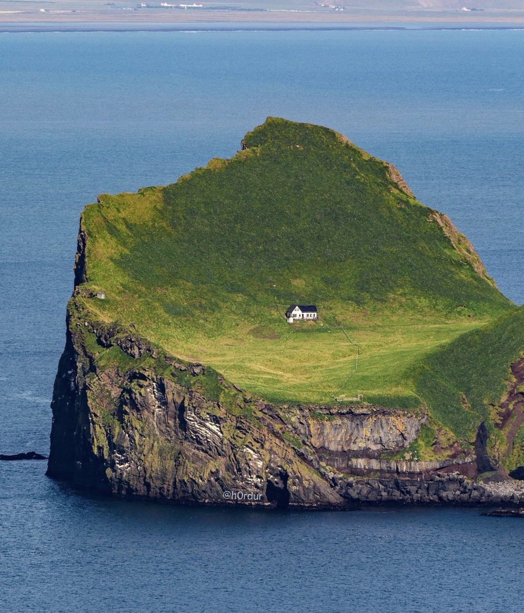 ぴろん🌸 tweet media