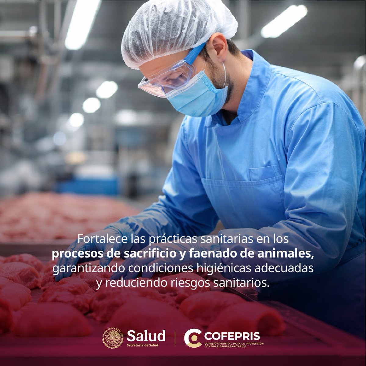 dprisqroo's tweet photo. La #Cofepris a través de las #VisitasdeVerificación, vigila que los procesos en el sacrificio de animales destinados al consumo humano, cumplan con la normativa vigente para evitar riesgos a la salud de la población.
Consulta guía 👉https://t.co/i5WGkFzQlA
#CofeprisCuidaTuSalud https://t.co/oKYeWLMGNI