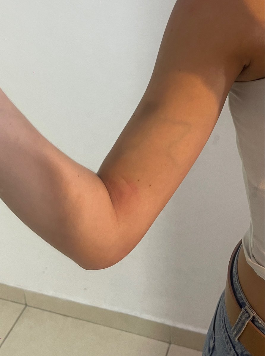 Catalina tweet media