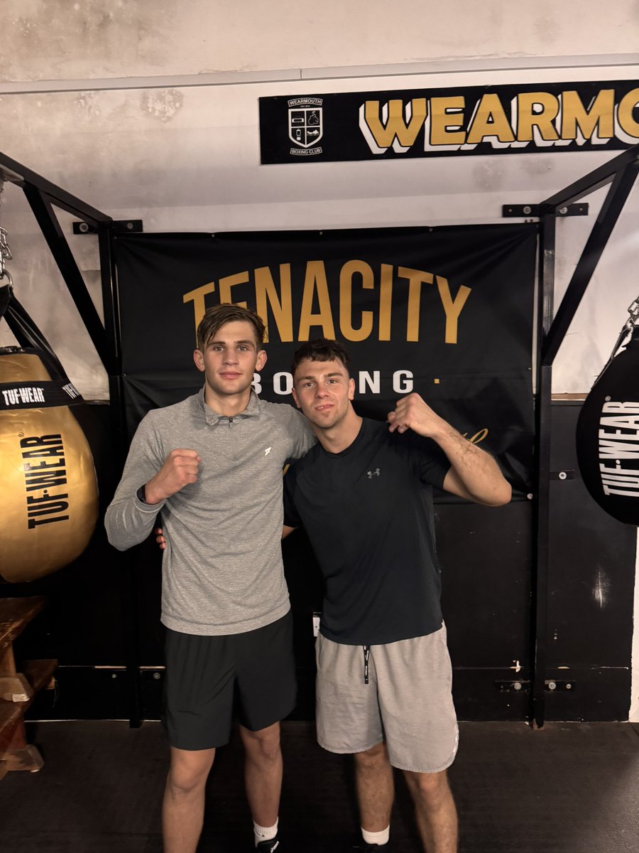 Tenacity boxing tweet media