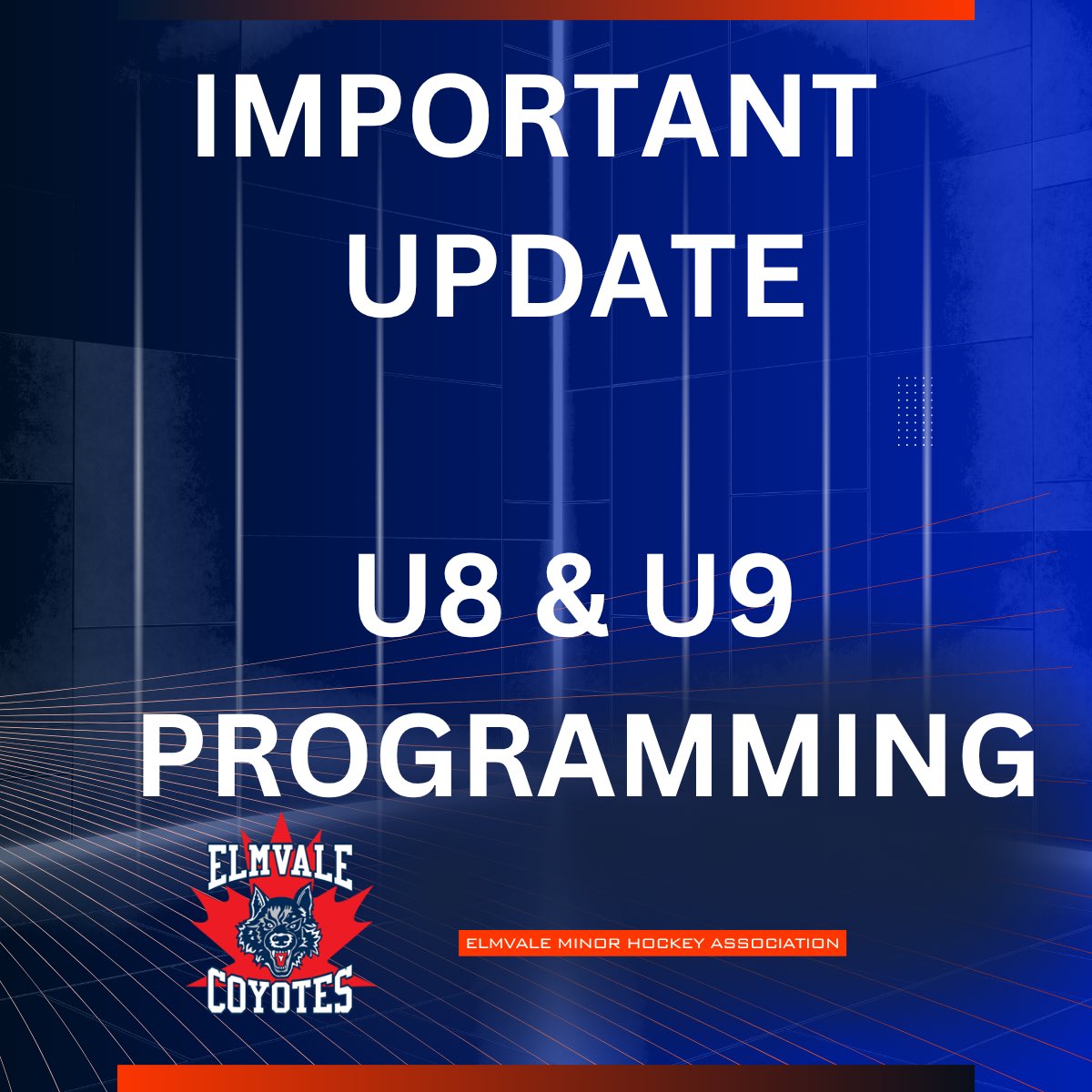 Elmvale Minor Hockey tweet media