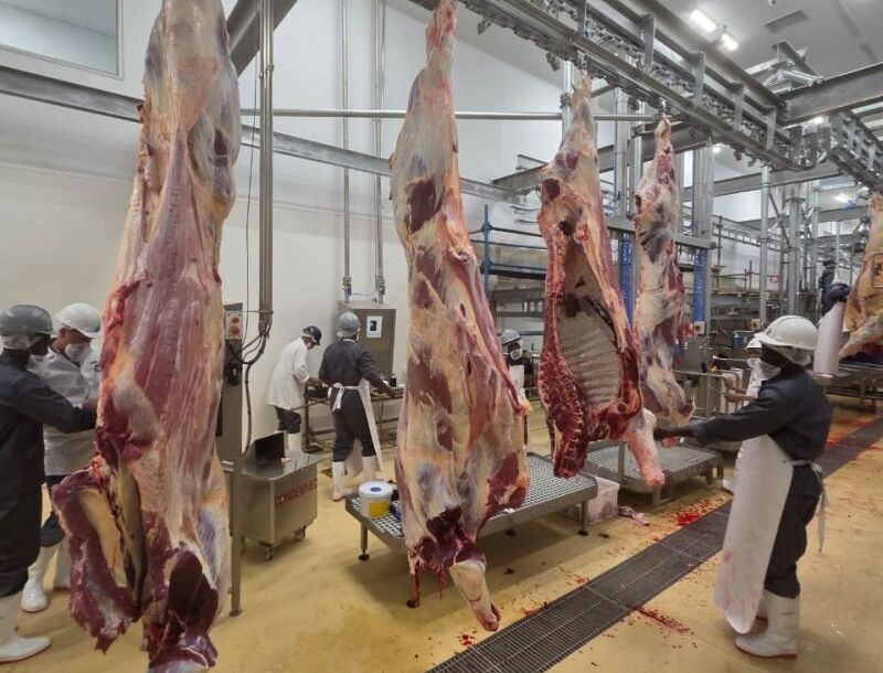 The Brief tweet media