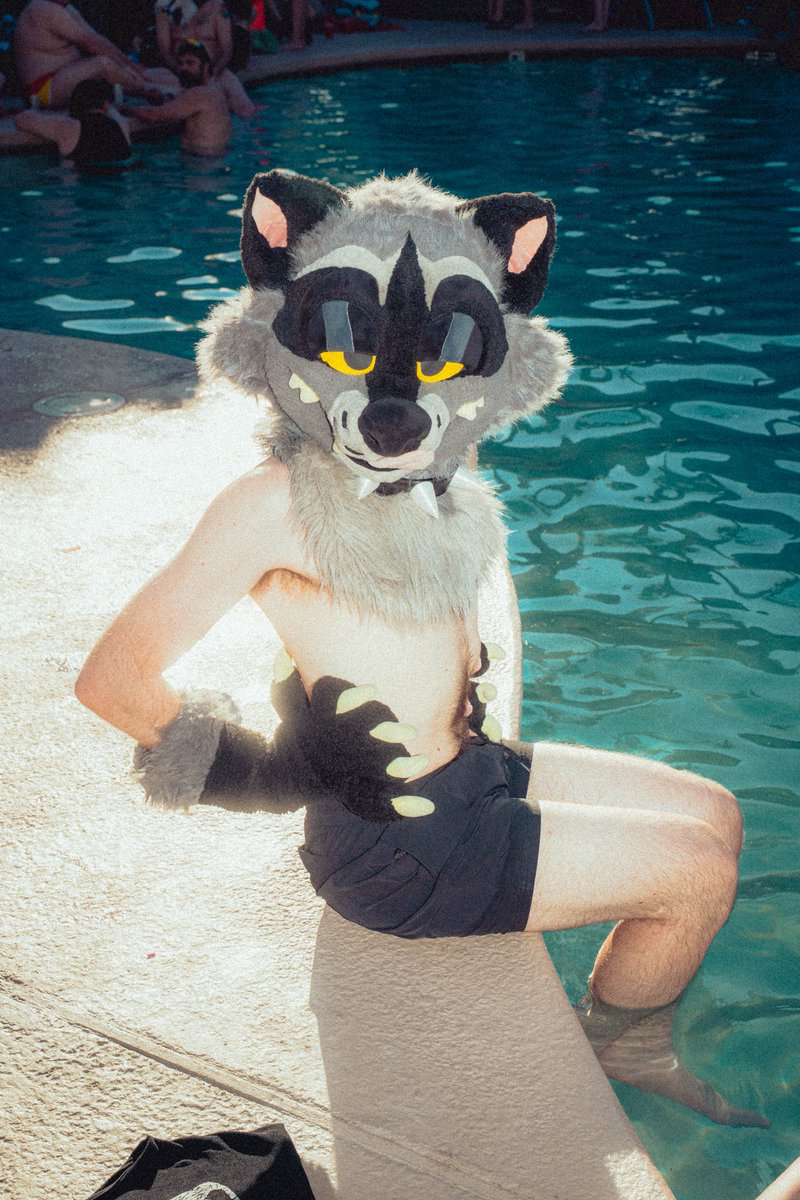 Tobias 🔜 LVFC tweet media