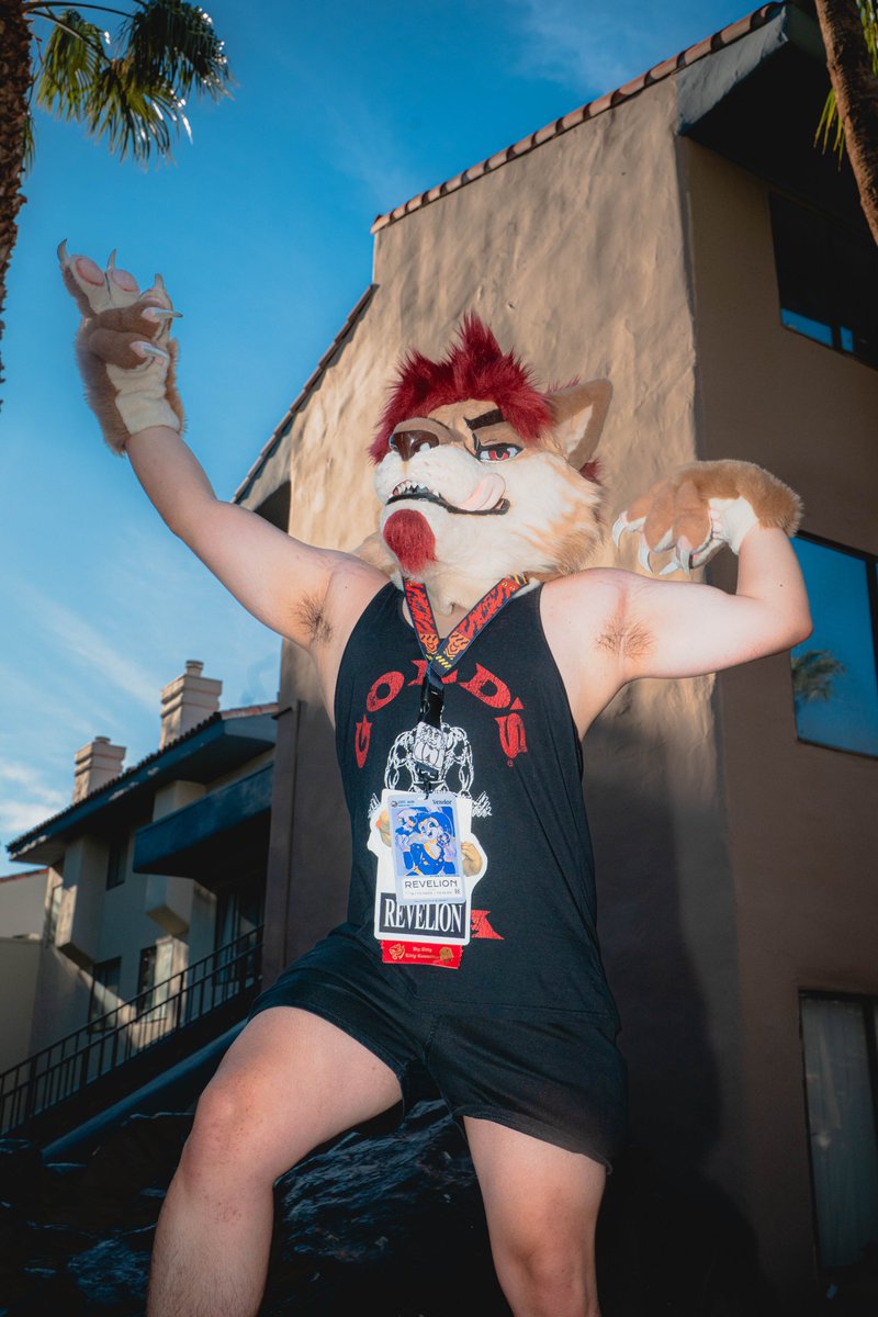 Tobias 🔜 LVFC tweet media