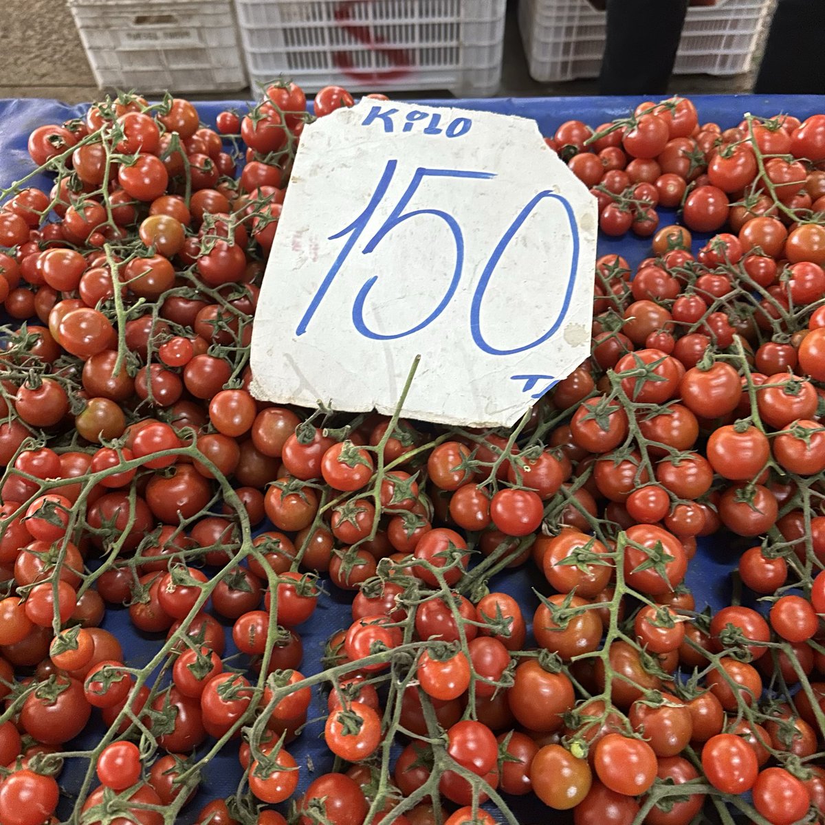 Türkiye’nin örtü altı üretiminin yaklaşık %36–40’ ını karşılayan Antalya’nın en ucuz pazarından kareler…Yorumsuz…<a href="/alibabacan/">Ali Babacan</a> <a href="/zeynep_sudan/">Zeynep Sudan</a> <a href="/avidrissahin/">Av. İdris Şahin</a> <a href="/KaracaSeyit/">Dr.Seyit Karaca</a> <a href="/devakadinda/">DEVA Kadında</a> <a href="/antalyadeva7/">Deva Partisi Antalya İl Başkanlığı</a> <a href="/ozlemarlier/">Özlem Arlıer💧</a> <a href="/elifesendeva/">Elif Esen</a>