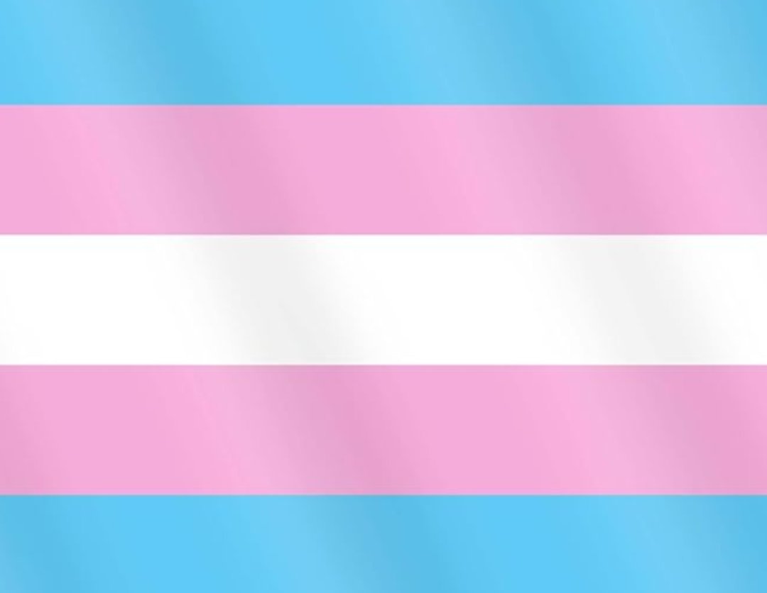 omnia 🏳️‍⚧️🦶🏻👑 tweet media