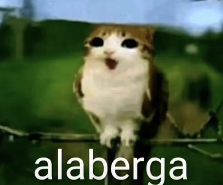 chipsmoradas tweet media