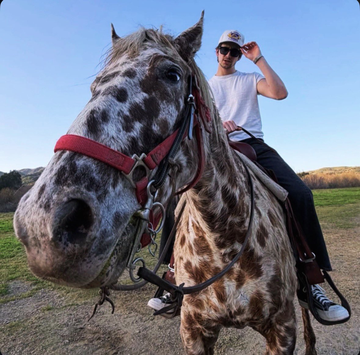 C4RTER posted: this &amp; that.