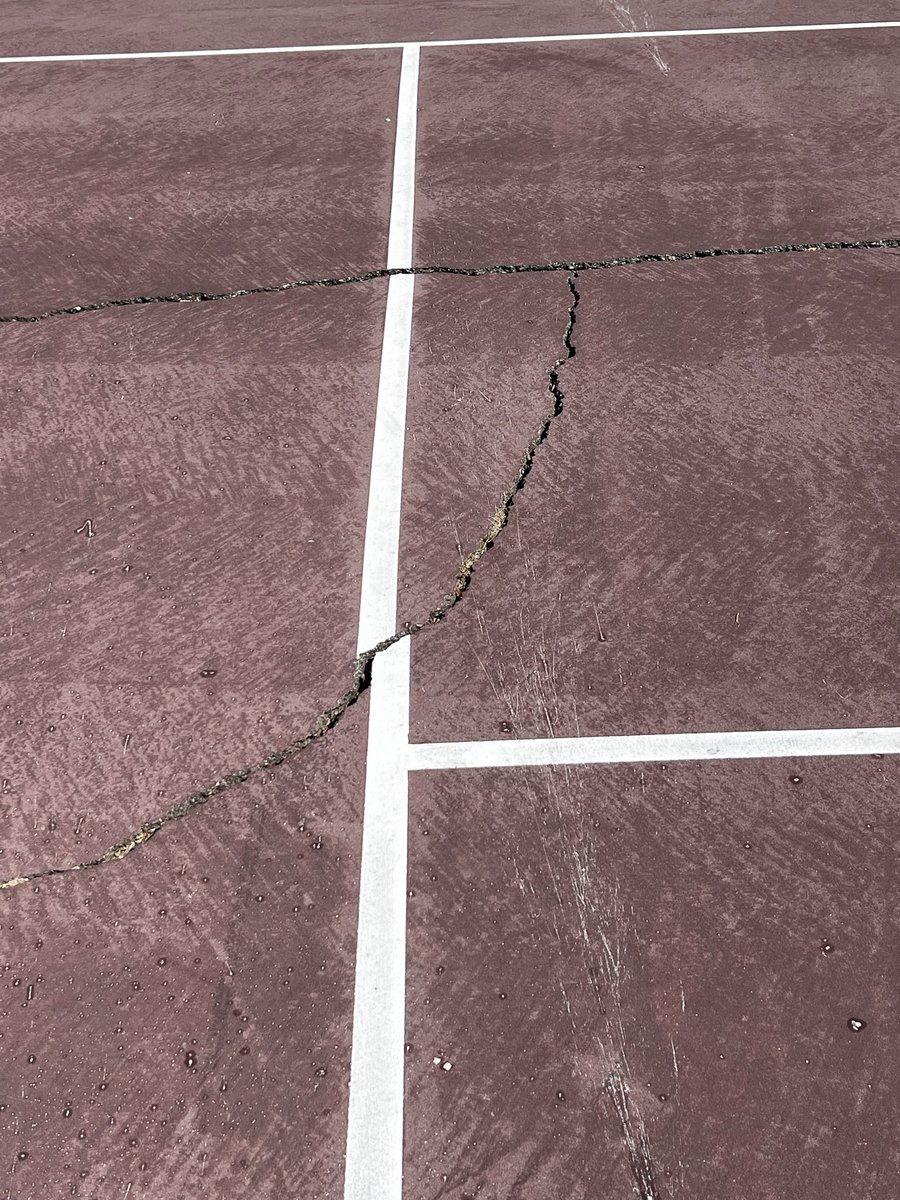 Jennifer (Hatem) Carey tweet media