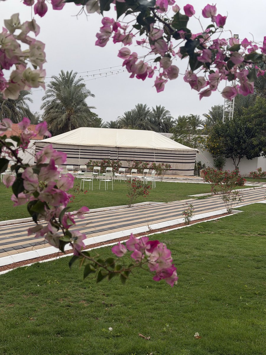 اللهم أسعدنا في أبسط تفاصيل حياتنا وقرب لنا الخير حيث كان

#مساء_الخير
#تصويري
#منتجع_ميسان