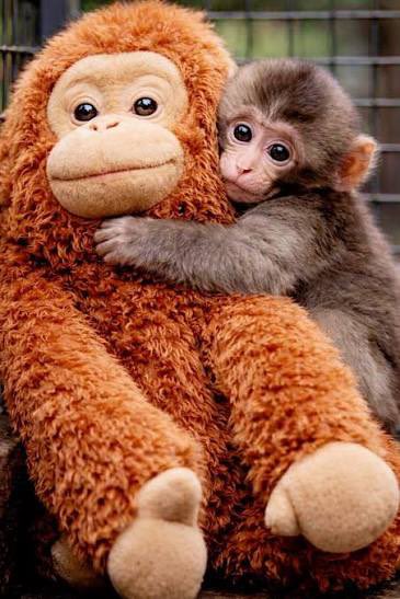 M 💯 | Wrestling Fan tweet media