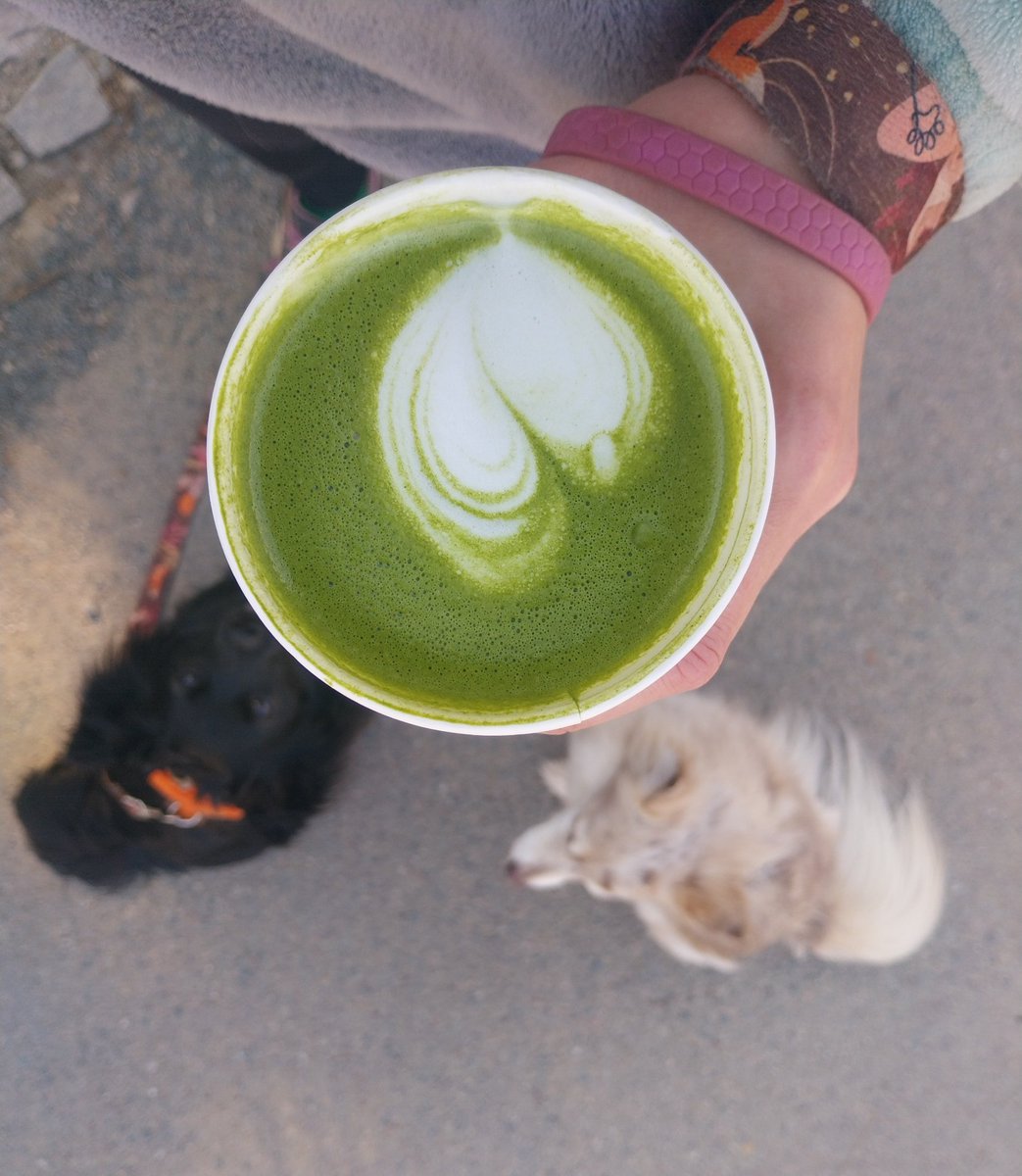 Štíplístková tweet media