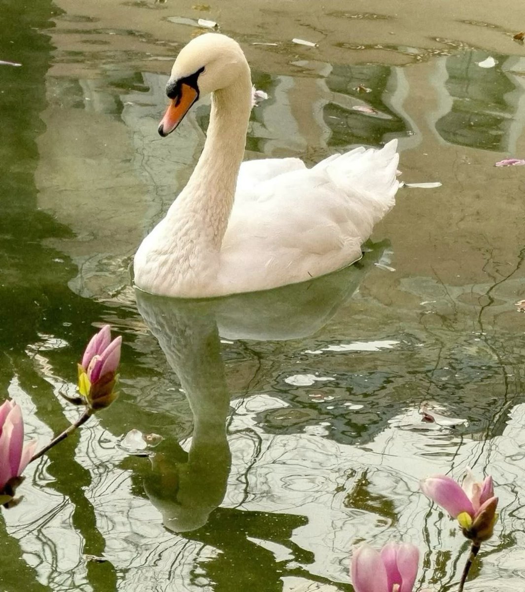 𐂯ྀིྀི tweet media