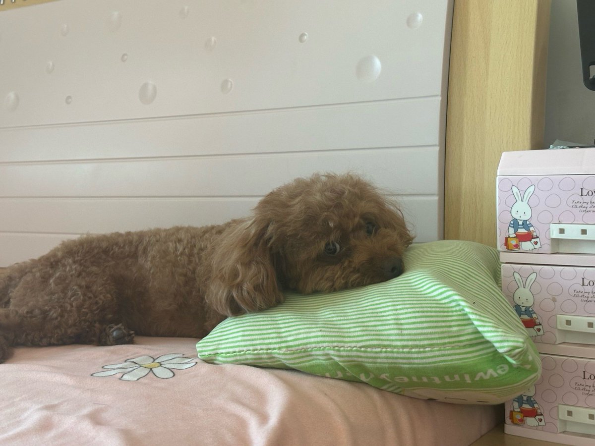 Freda Thomas tweet media