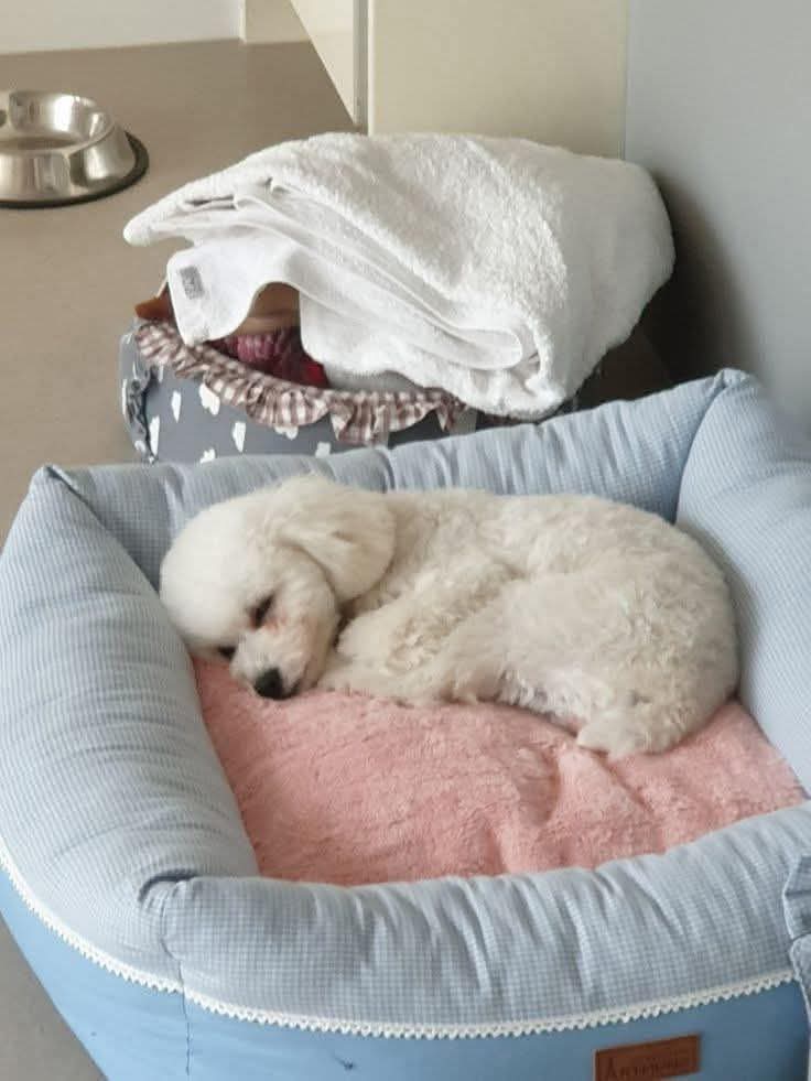 Sara Mary ⭐❤️ tweet media