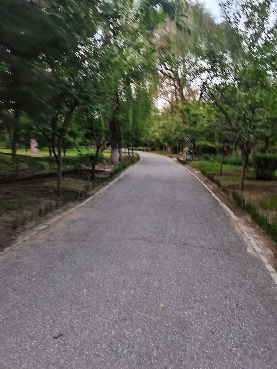 carole mittman tweet media