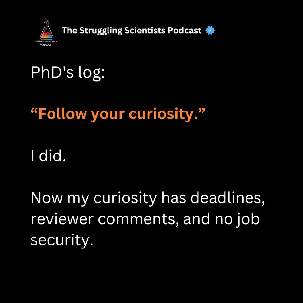 The Struggling Scientists tweet media