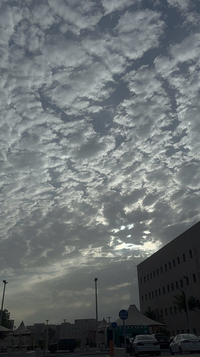 Raghad ☢️ tweet media