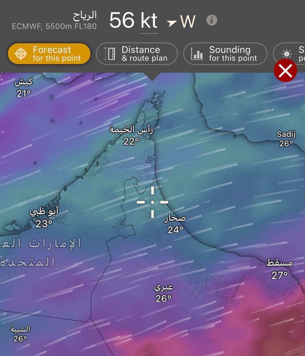زاهر الشقصي tweet media