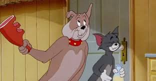 عبدالعزيز tweet media