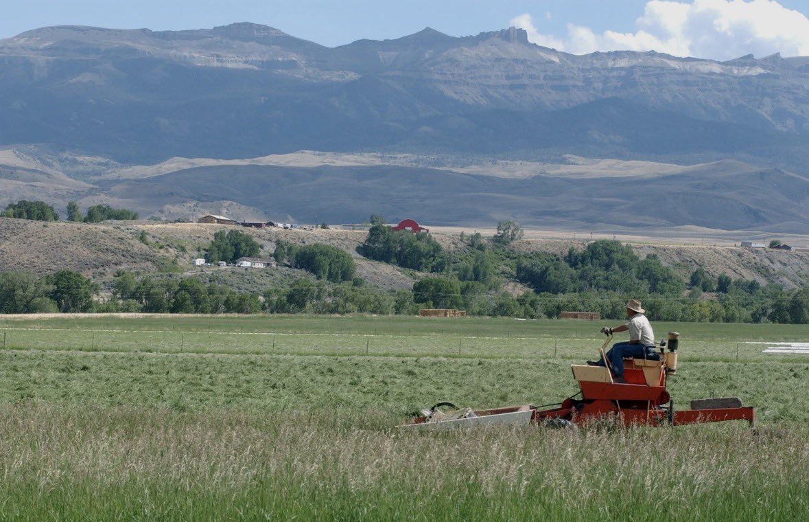 Just Phil Lyman tweet media