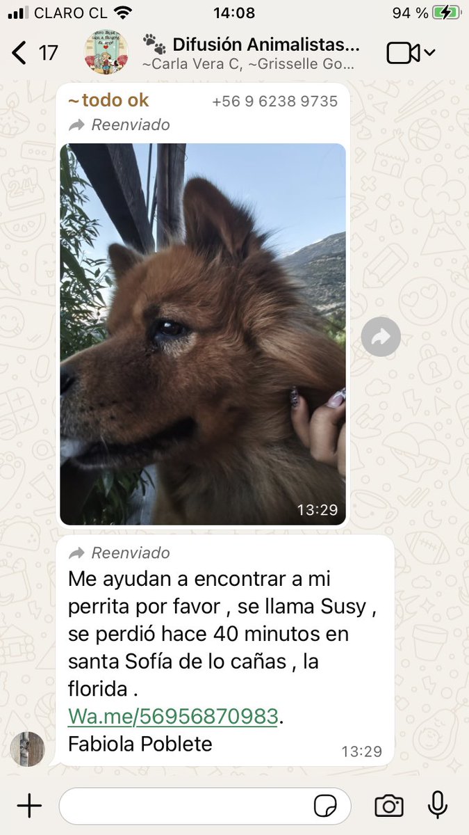 Gloria Baettig tweet media