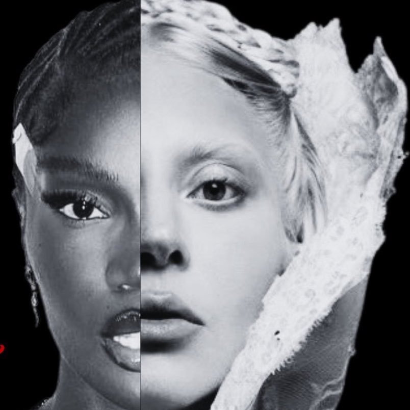 ton bernardes tweet media