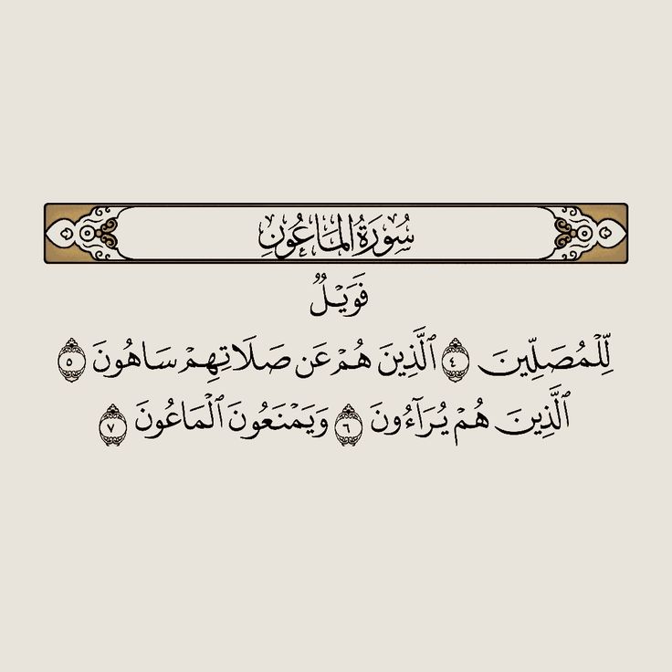 Hişam Alabed tweet media