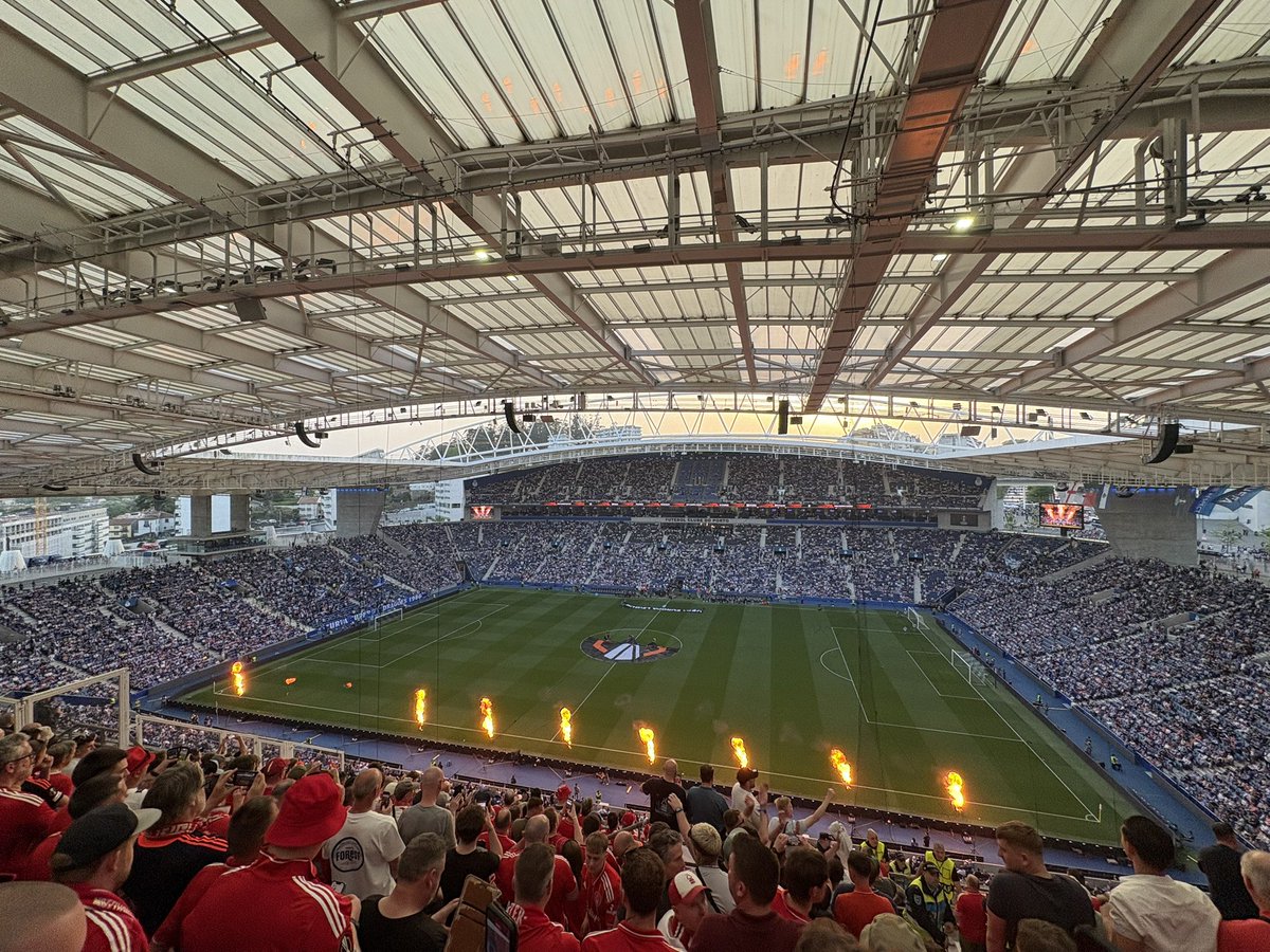 Tricky Tree (Jake) 🌳 tweet media