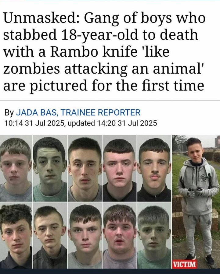 Tweeter Dee tweet media