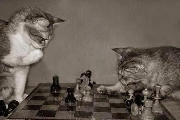 بحر 🌊 tweet media