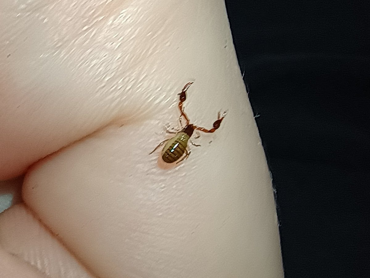 lee !!!! 1st lawboots shipper ever tweet media